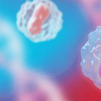 试管婴儿会导致卵巢早衰吗