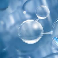 不孕的原因是什么