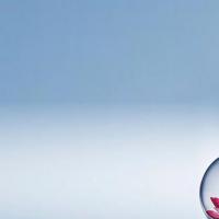 输卵管手术费用