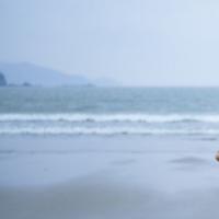 卵巢多囊的症状