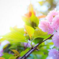 试管卵巢功能不好怎么办