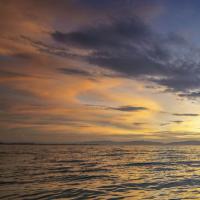 北京卵巢多囊适合做试管吗