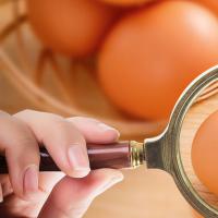 多囊卵巢怎么治疗啊