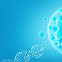 输卵管通而不畅是什么意思