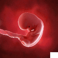 好孕丨探秘优质胚胎的豪宅，带你走进生殖实验室