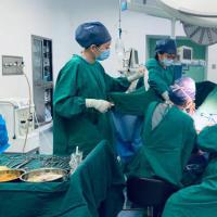 第五天囊胚4BB和5BB哪个更适合移植？