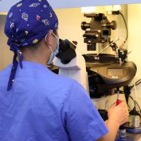 生殖激素药与骨质疏松：停药后骨量能恢复吗？